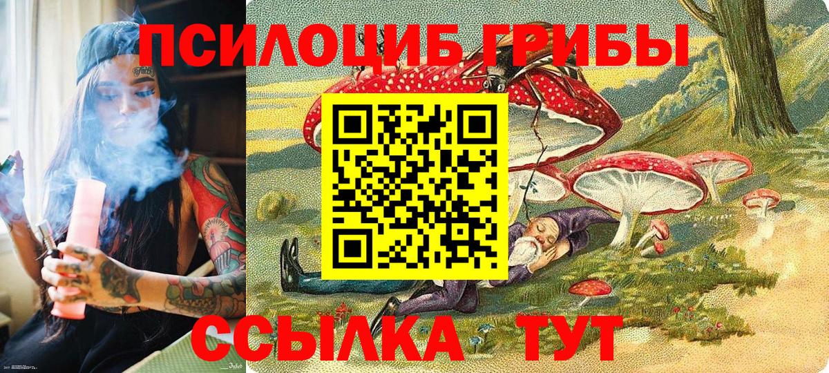 Ставрополь  Галлюциногенные грибы Psilocybe  Псилоцибиновые грибы прущие грибы  Вход с VPN 